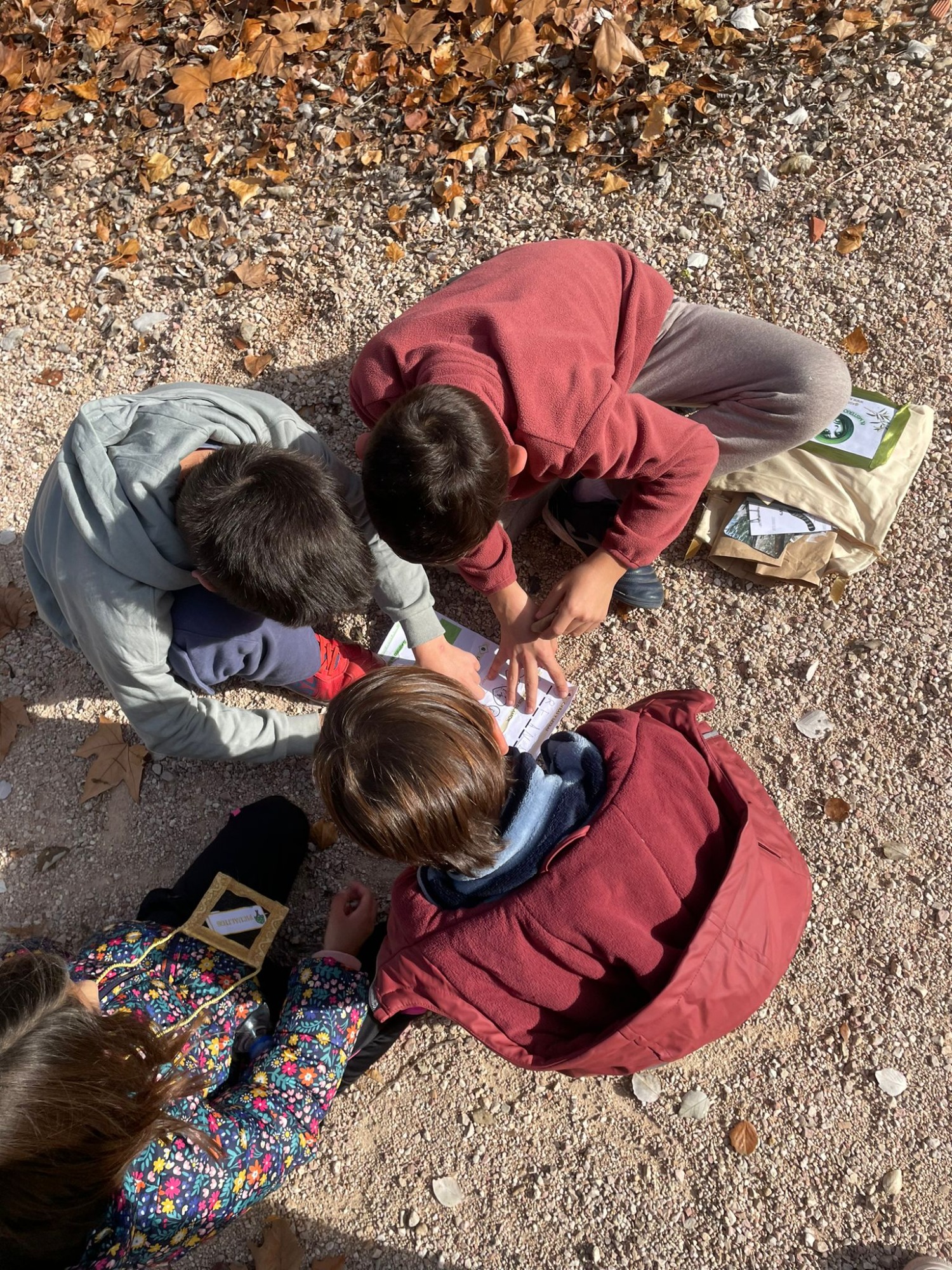 actividad-outdoor-saludable-para-familias actividad-outdoor-saludable-para-familias
